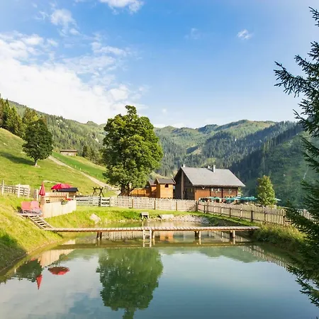Breitenebenalm * Grossarl