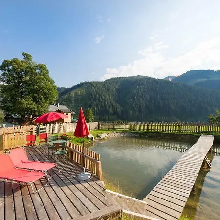 Appartement Breitenebenalm Grossarl